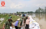 Huy động gần 500 người chống tràn đê tả Bùi ở Chương Mỹ
